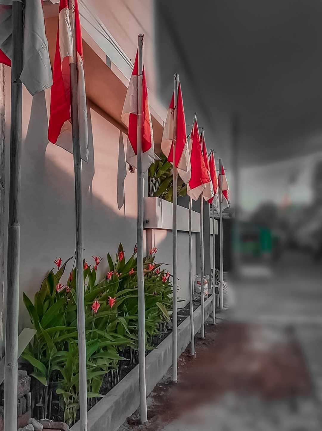 Bendera