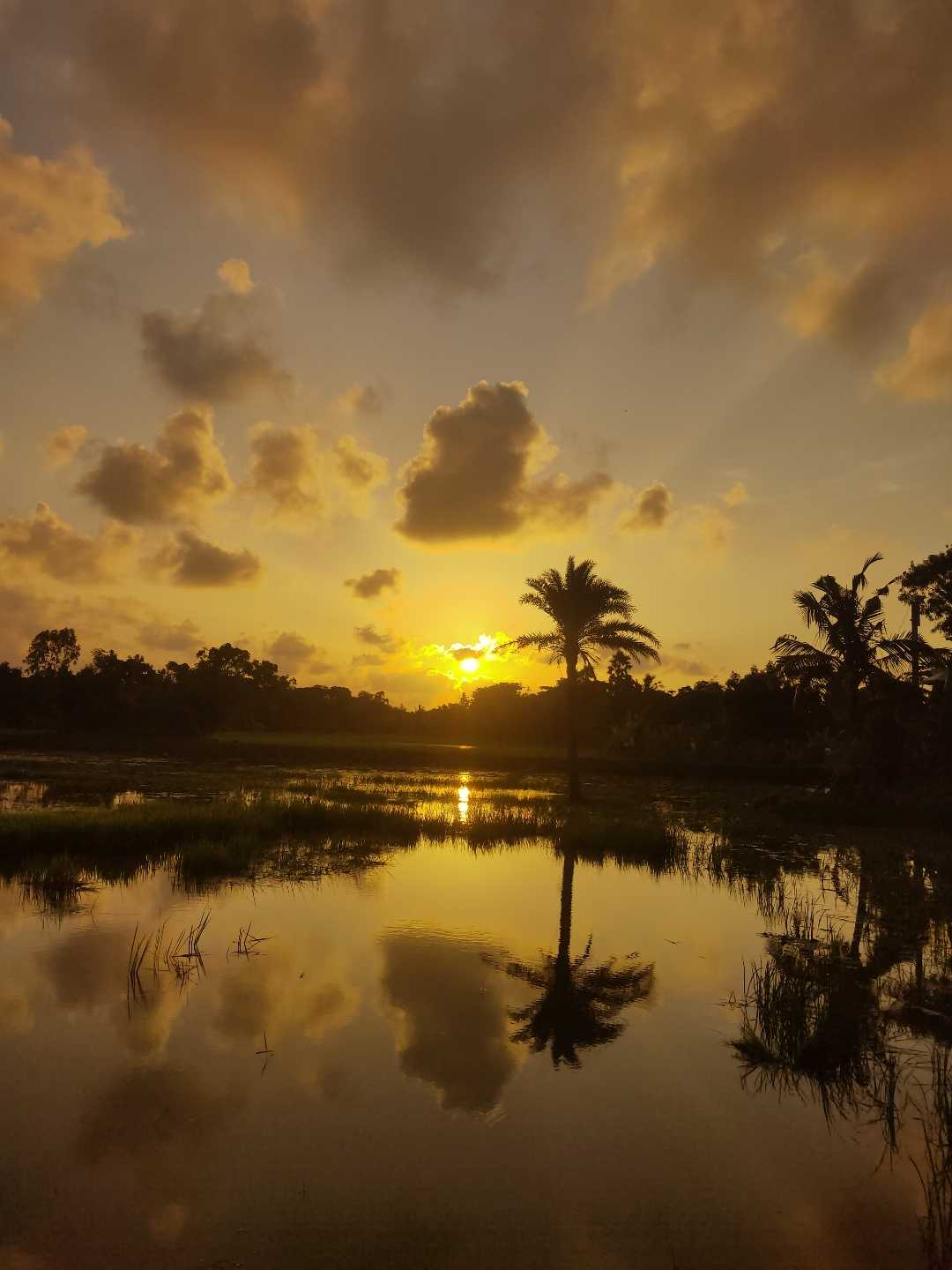 Reflection 