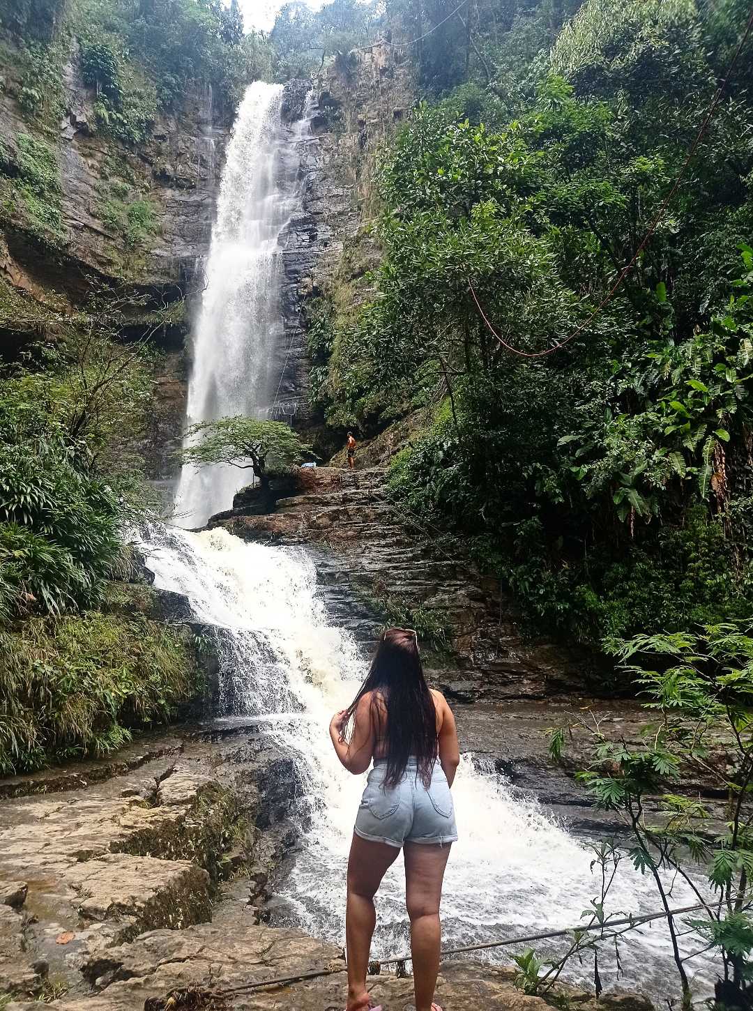 🍃🍃🍃