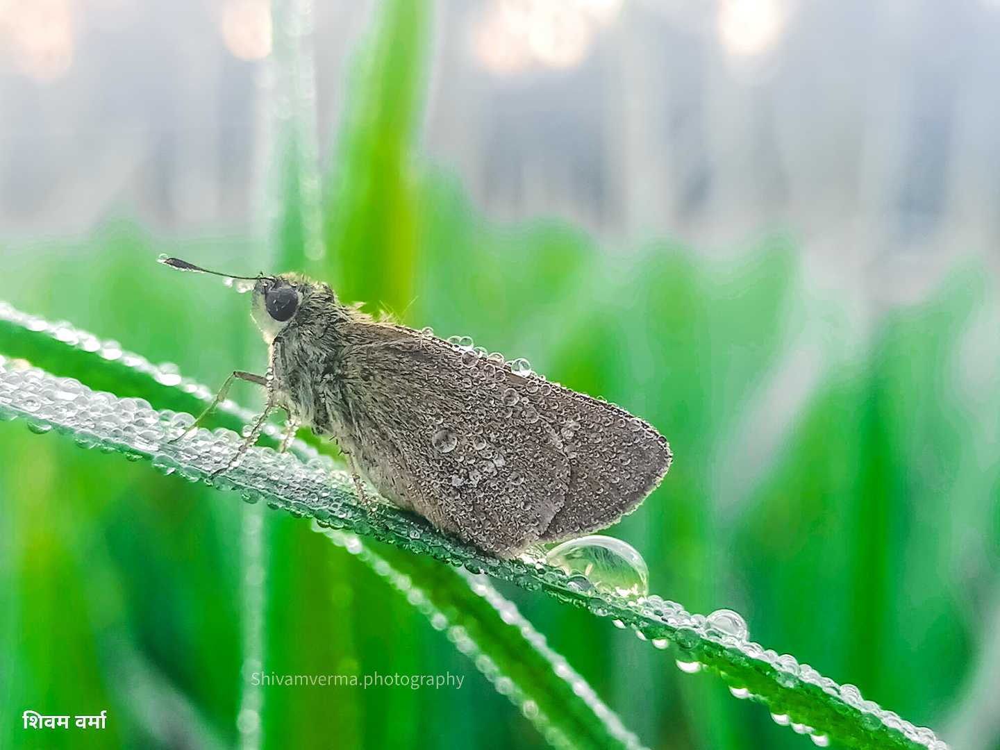 Butterfly Beauty ❤️🦋