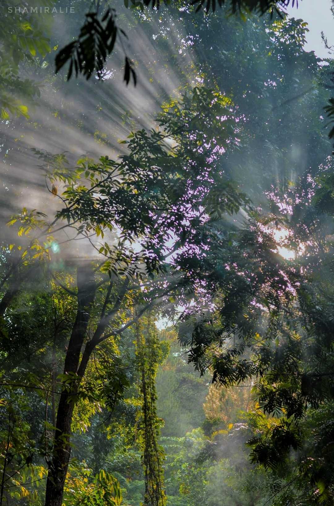 Ray Of Light