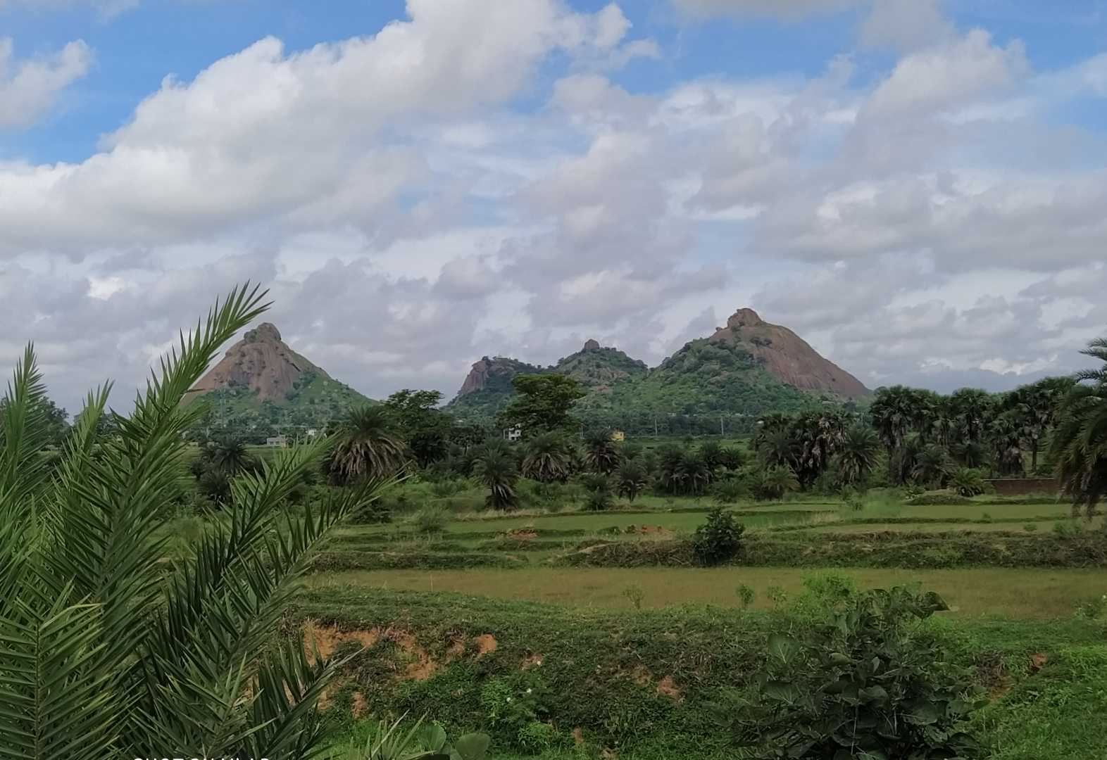 মেঘের আড়ালে জয়চন্ডি পাহাড়