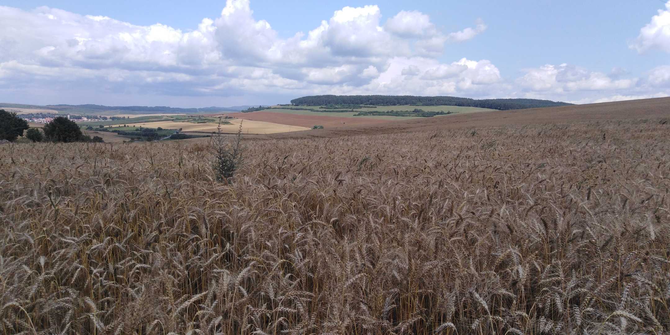Slovakia 2019