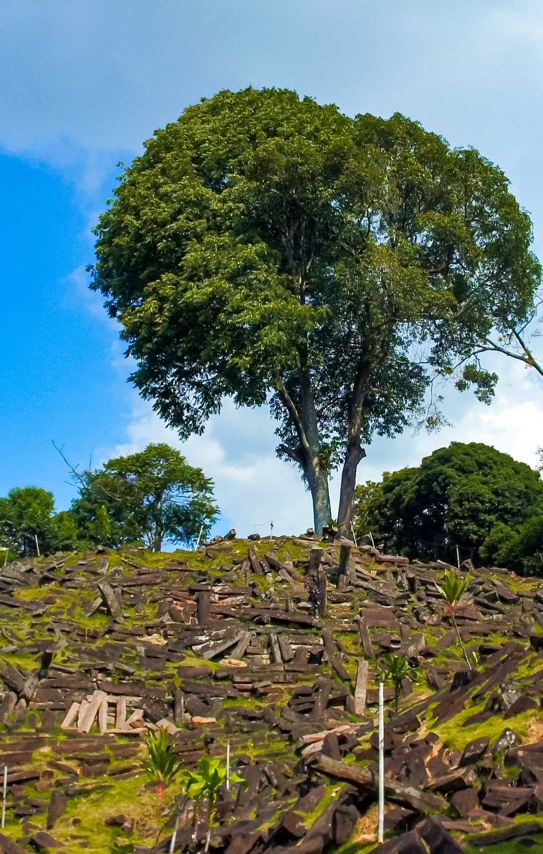 Gunung Padang Cianjur