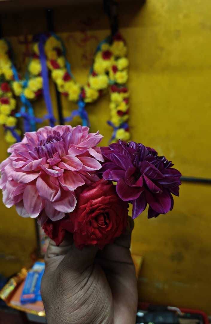 flowers