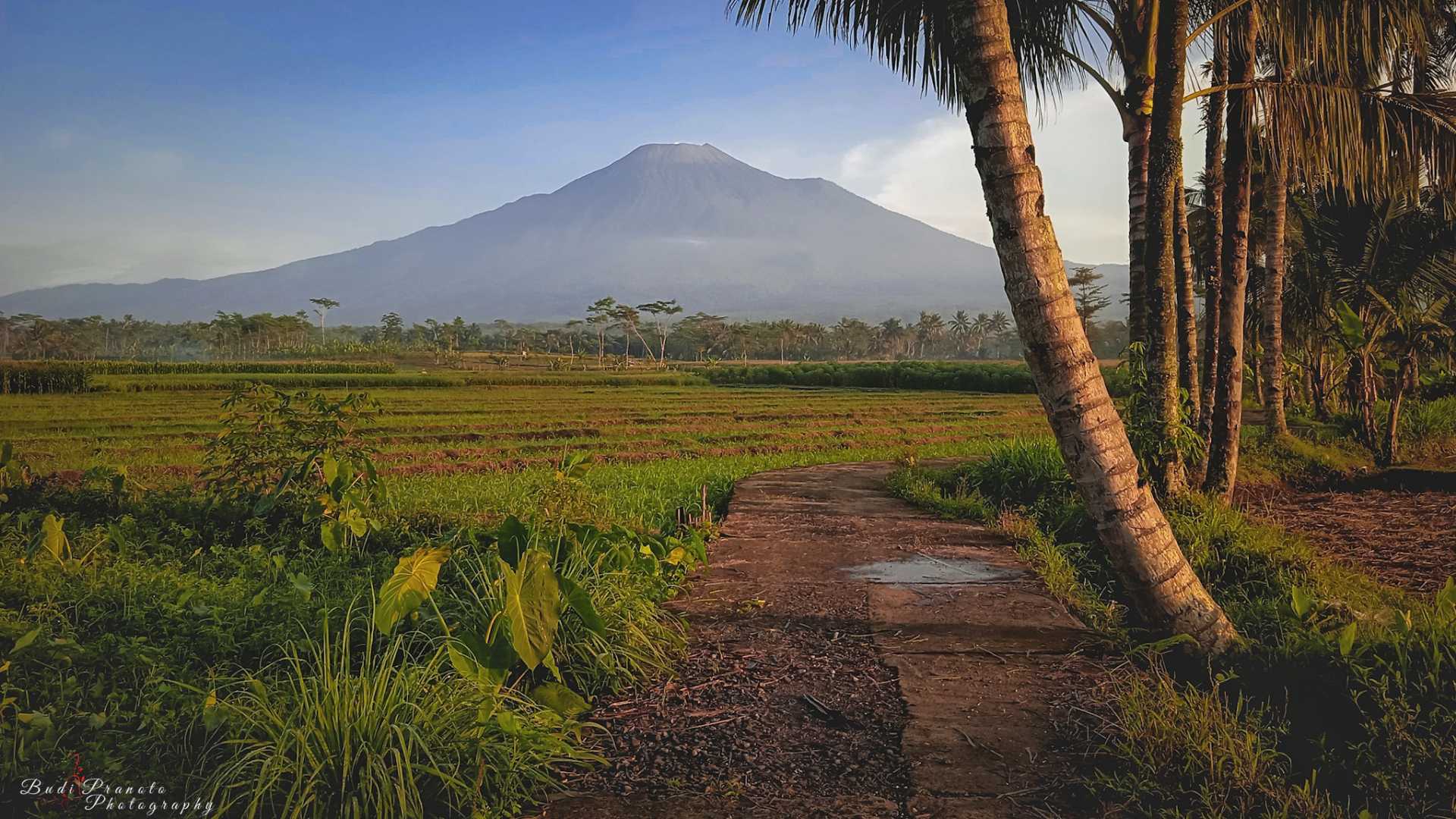 Landscape