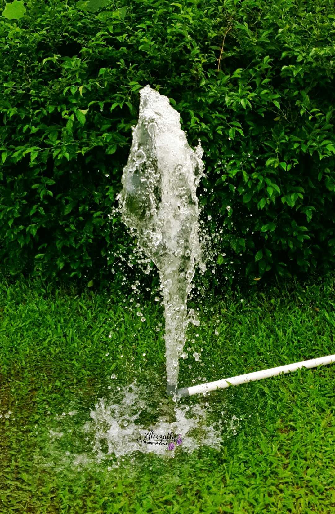 All About Water