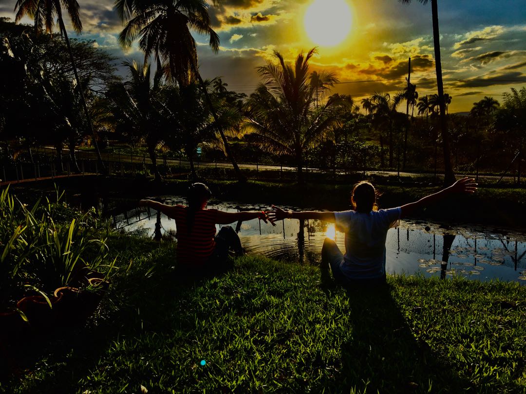 sunset 
