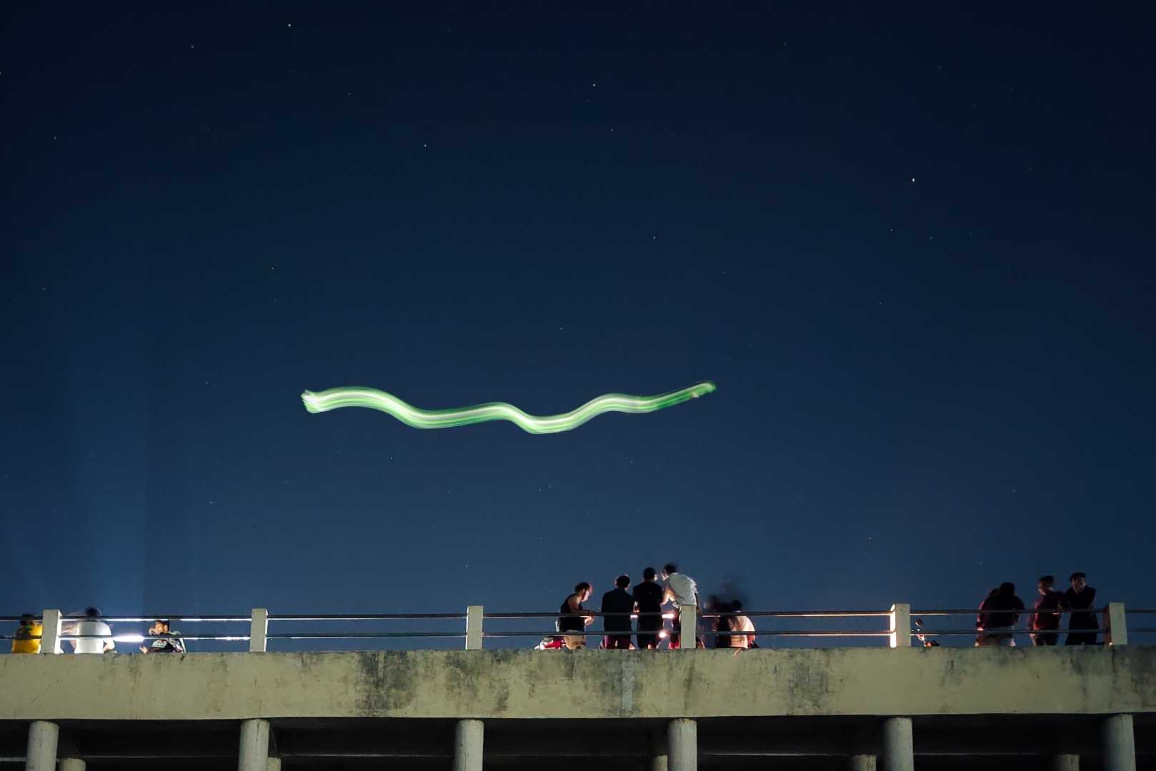 Flying Snake 💚💚