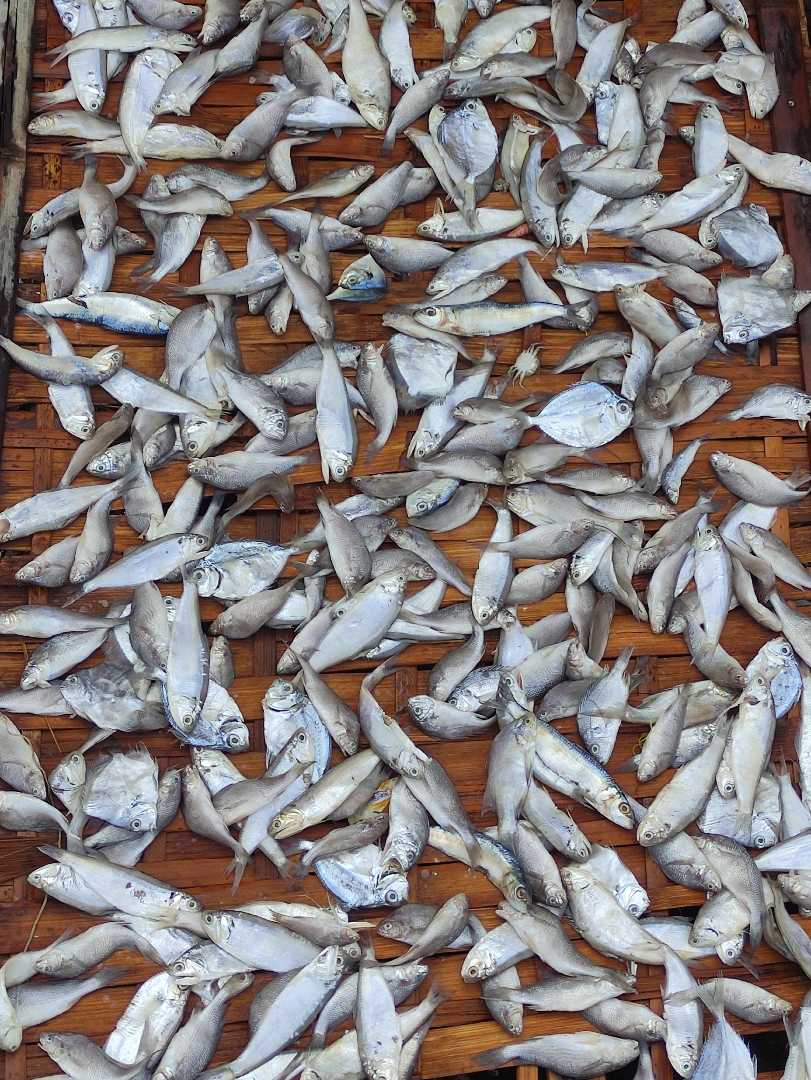 Ikan Asin