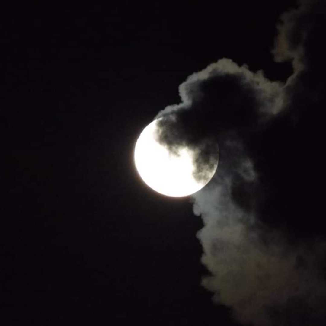 Bulan