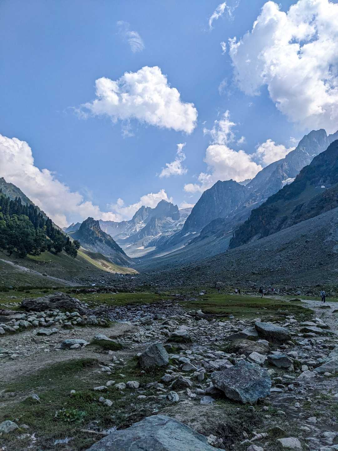 thajwas glacier 