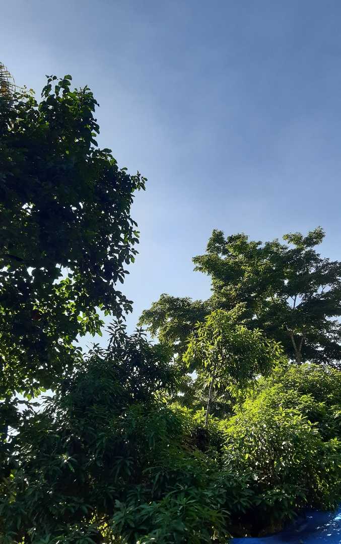 Summer is real💚🧡🥵