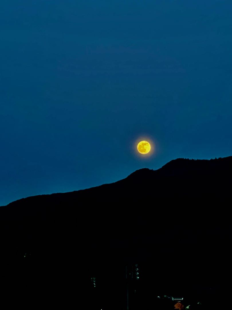 Moon Night 