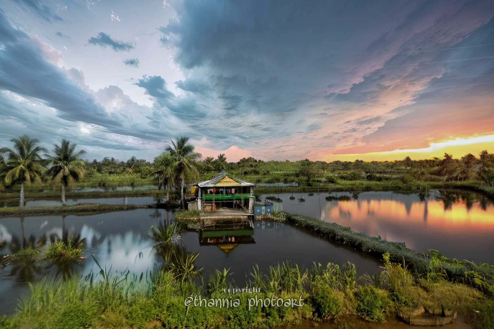 Hidden Paradise