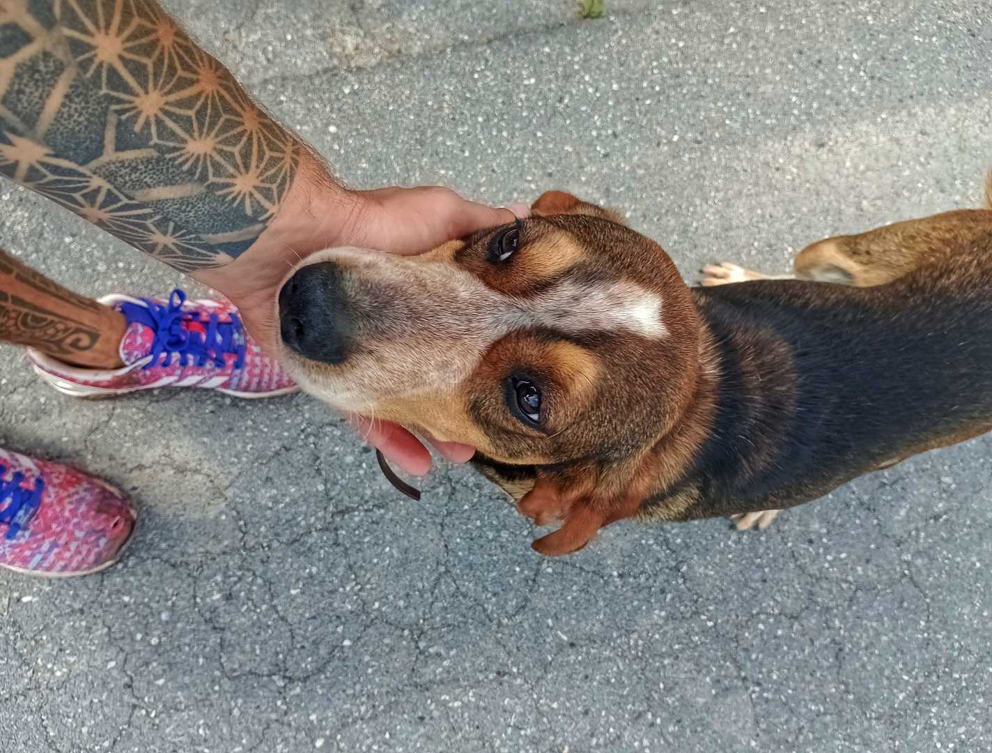 Vale como meet locals 🤣🐕🚲🏞️