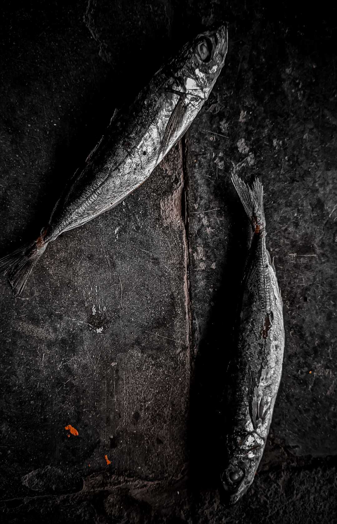 ikan cue
