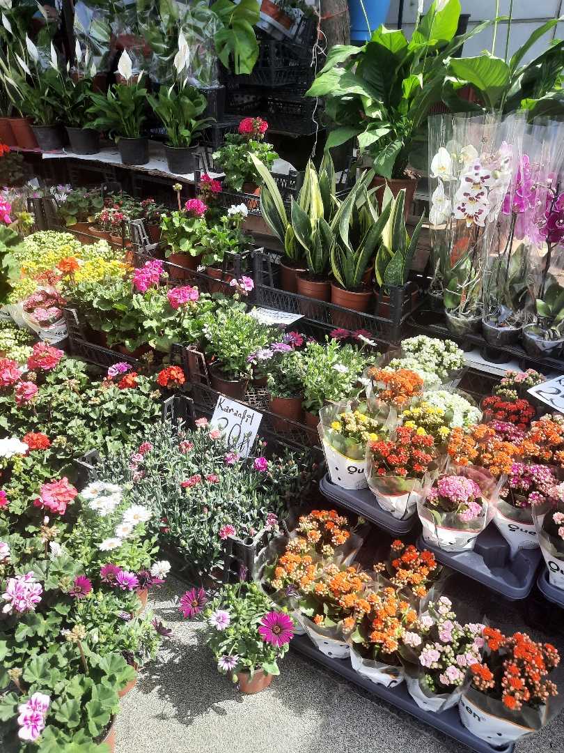 Çiçek Pazarı 🌺