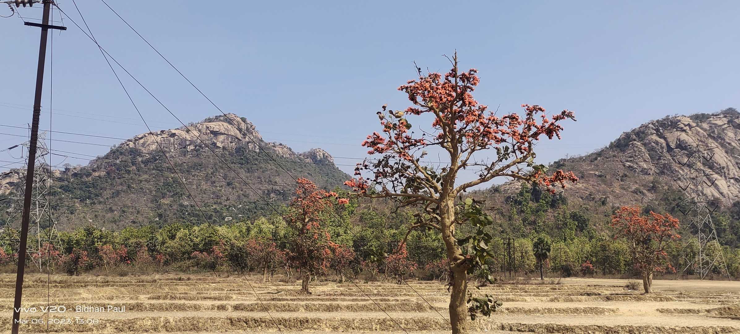 গজাবুরু পাহাড় 