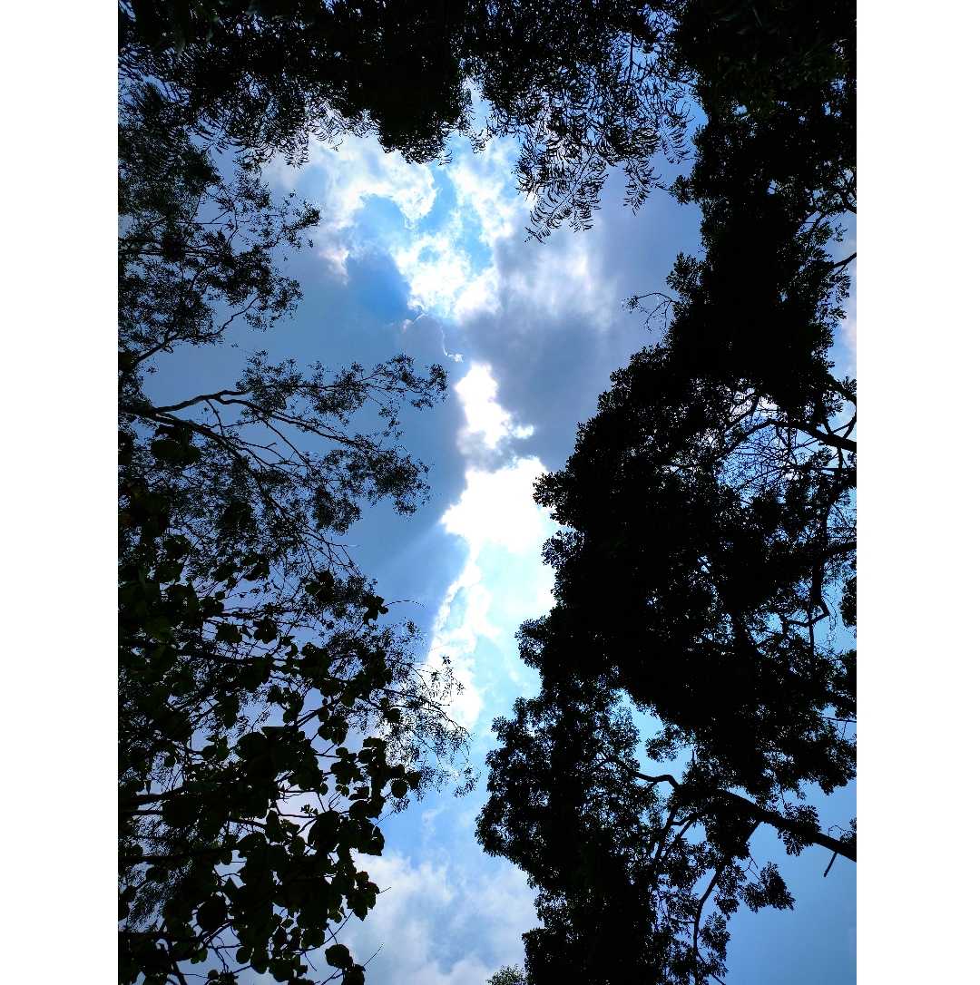 Skyu