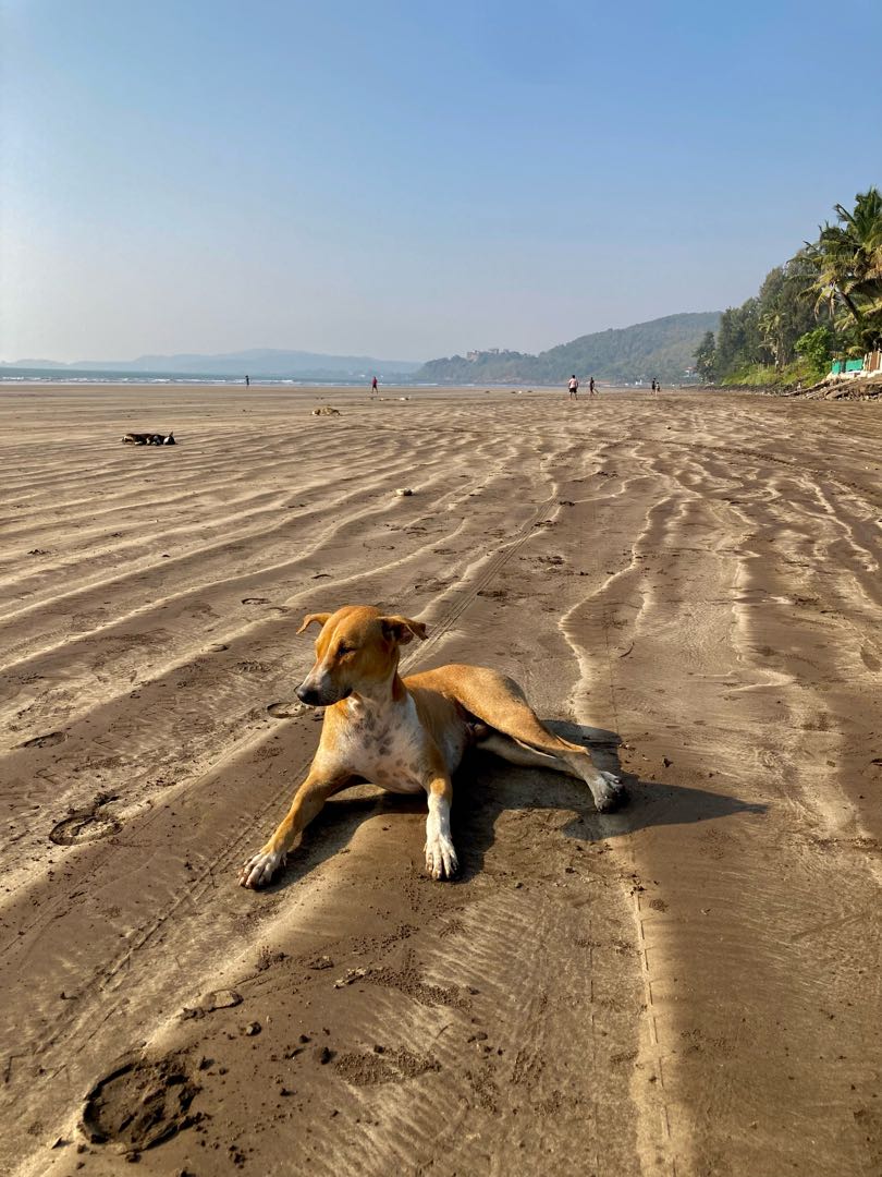 M U R U D  B E A C H ☀️🏝️🐚