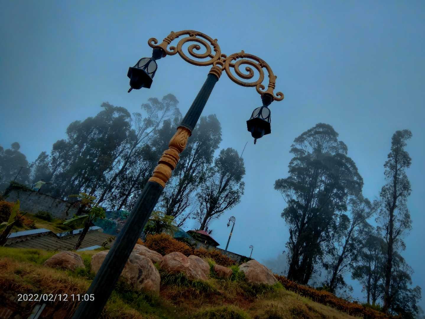 foggy 🌁 lamp... 