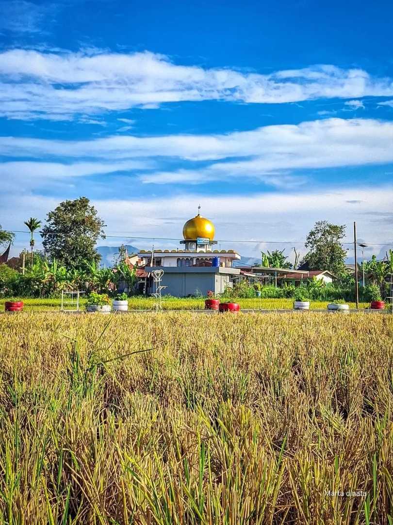 Hari yang cerah