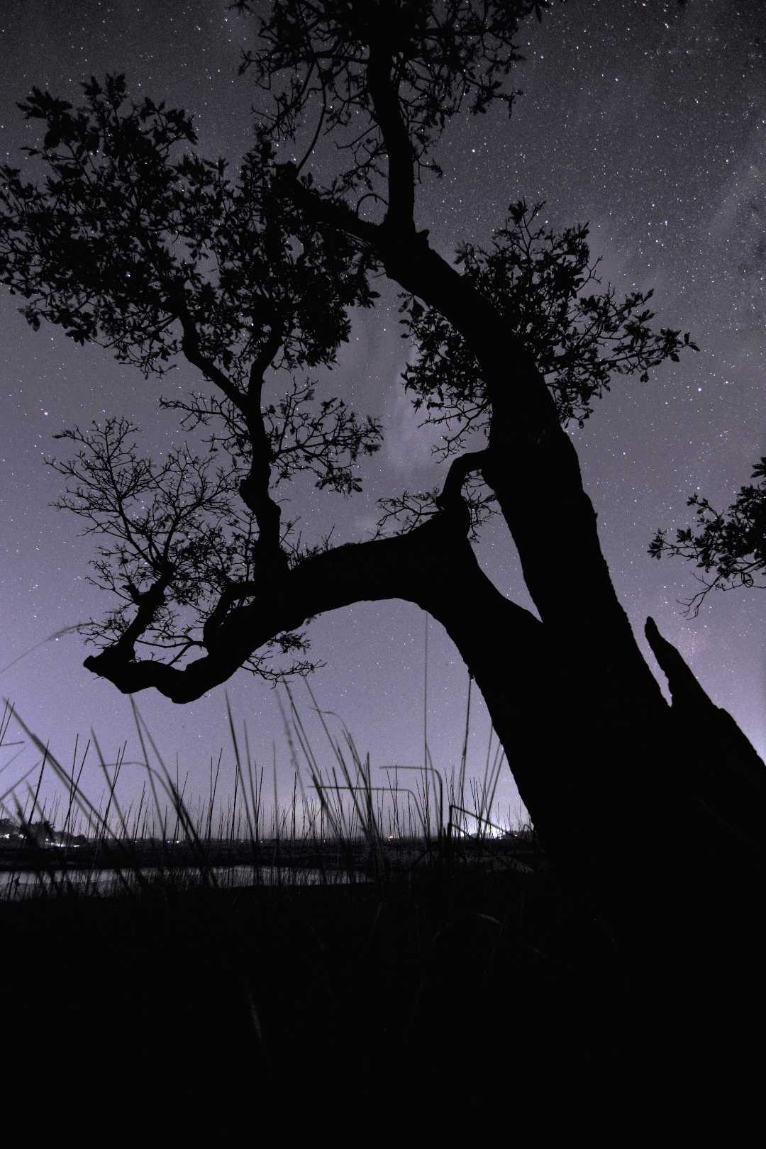 blanket of stars over harintilla