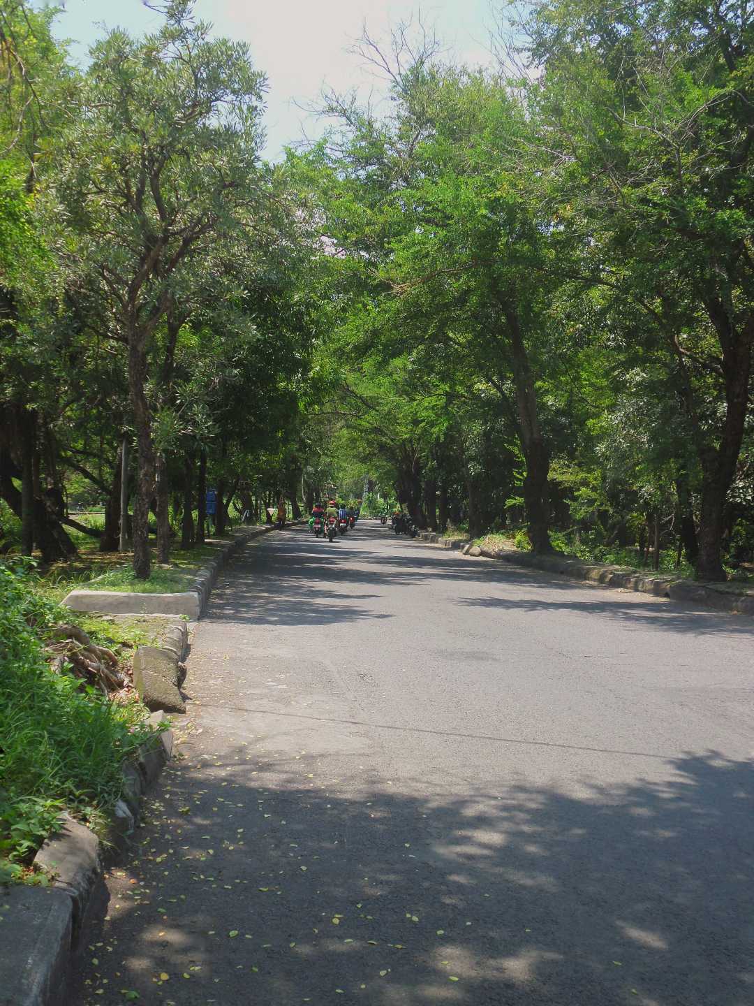 Jenggolo Street View