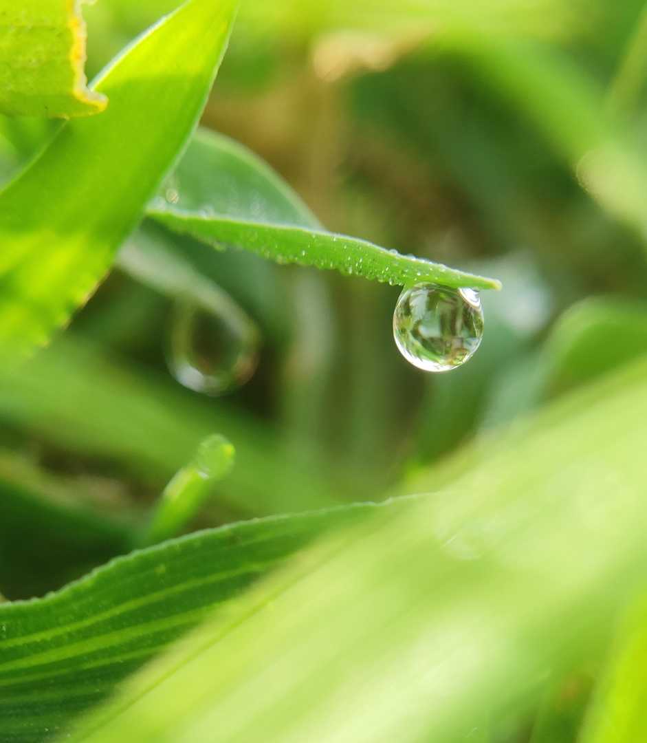 Macro shot of Water 💧