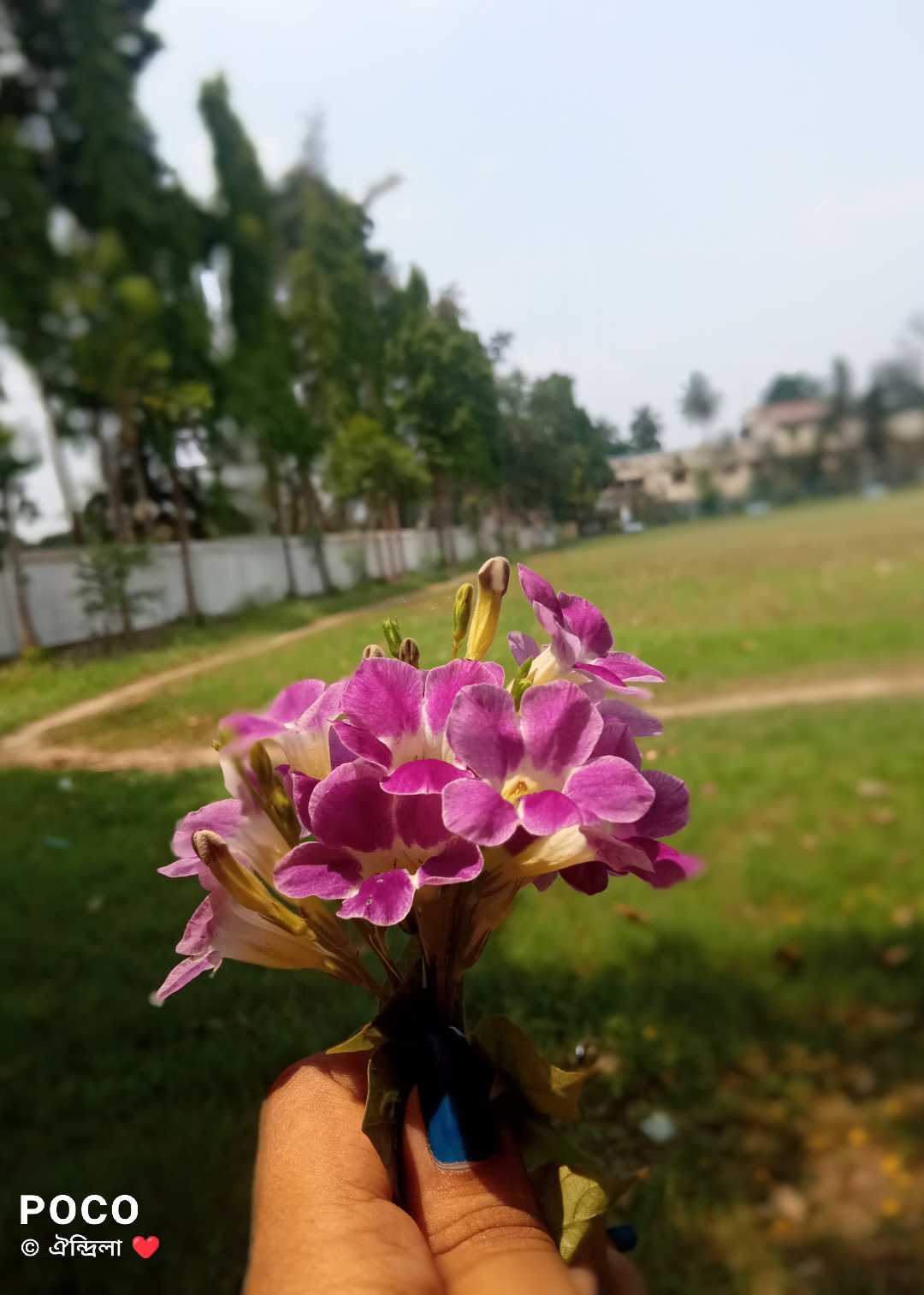 🌷🍀