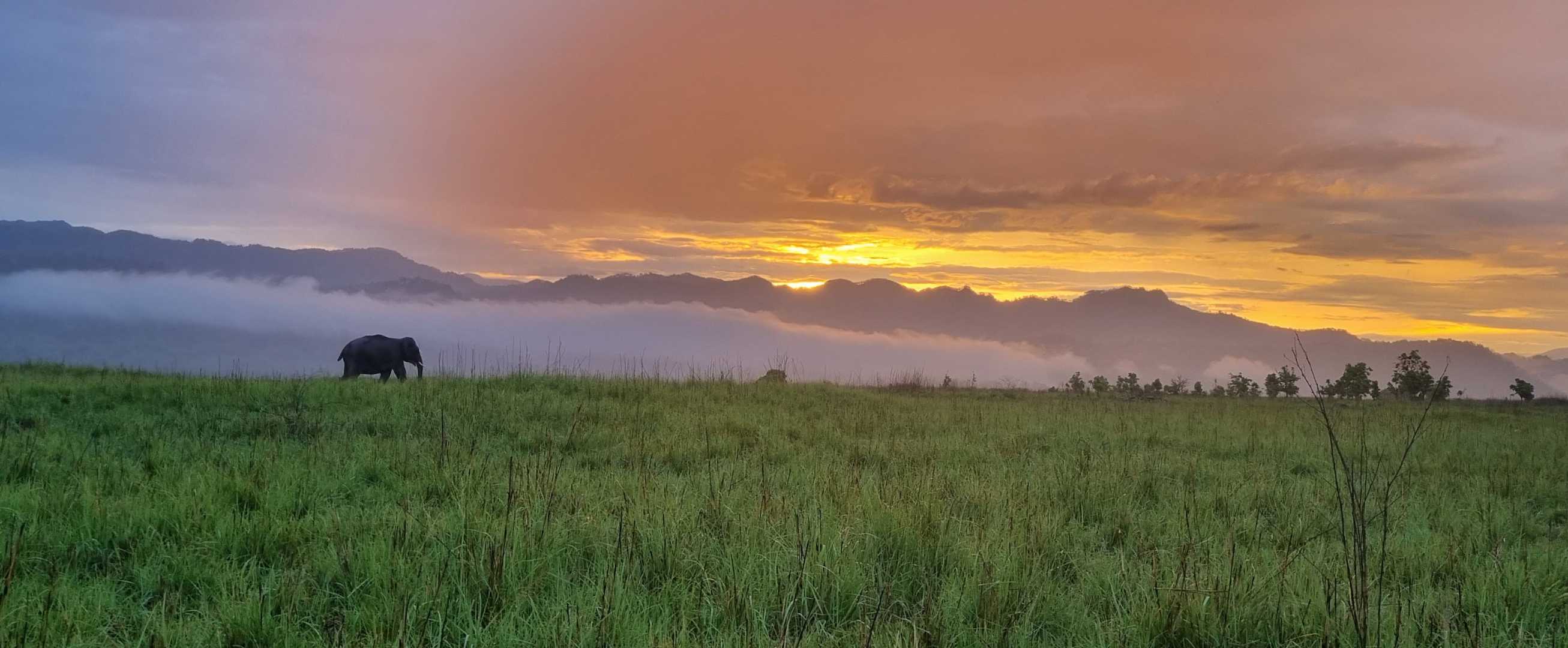 You to see it to believe how beautiful this place is! 