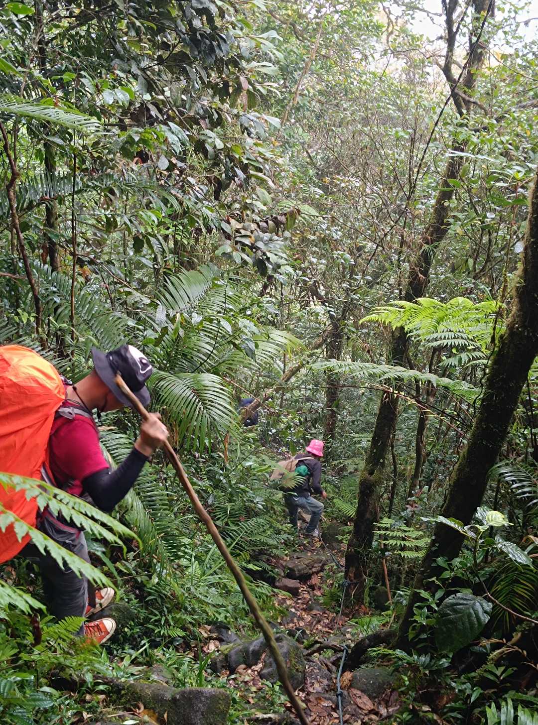 Turunan Puncak Gunung