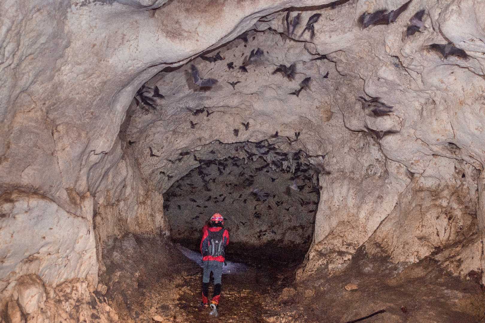 Explorasi Gua Lobo