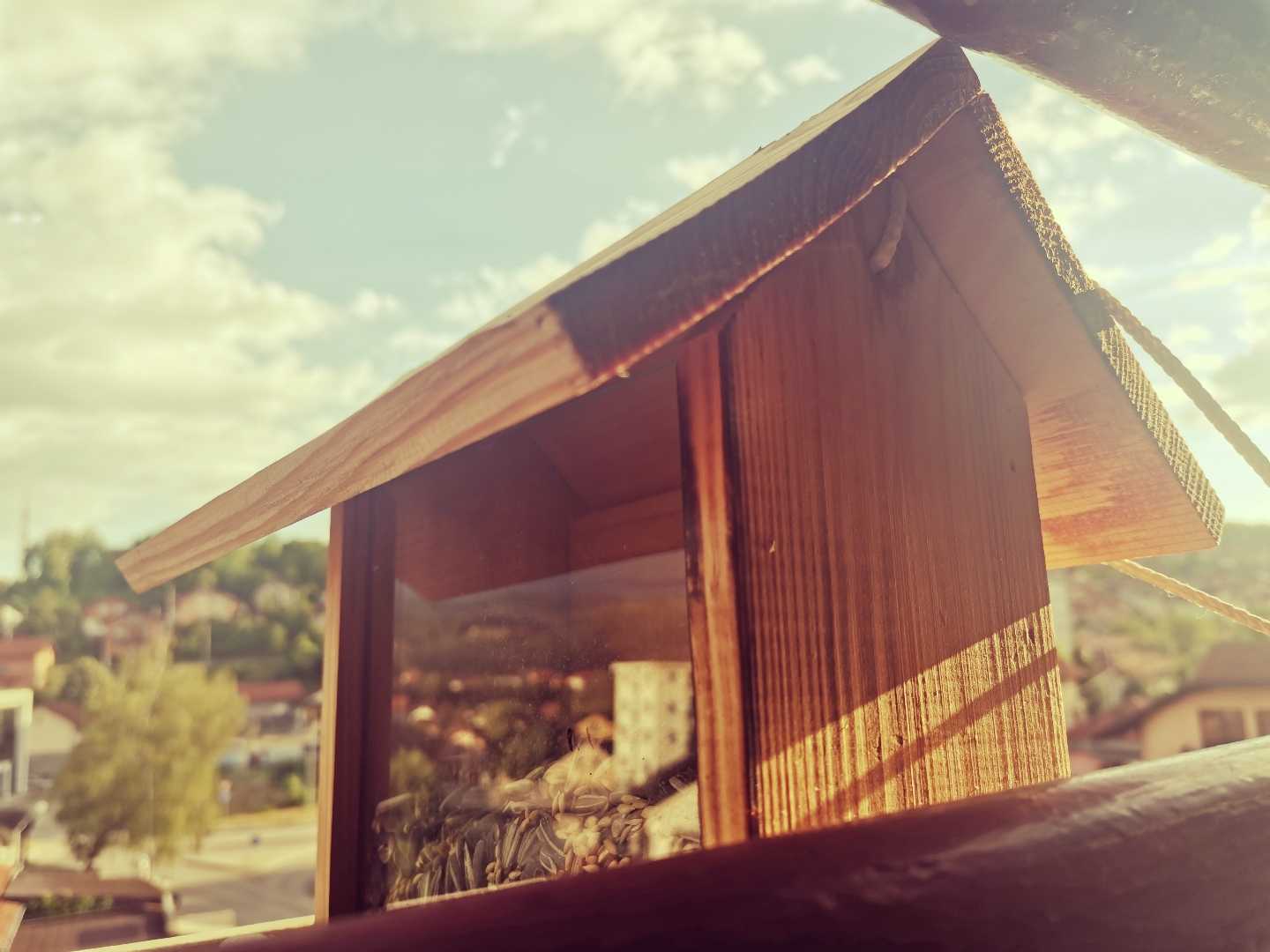 House "Feed birds" 🐦❤️🐦❤️