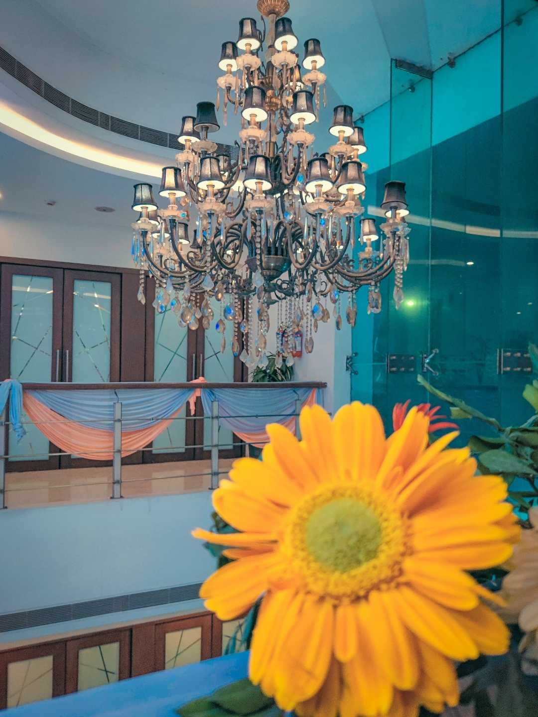 Aesthetics ♥️✨