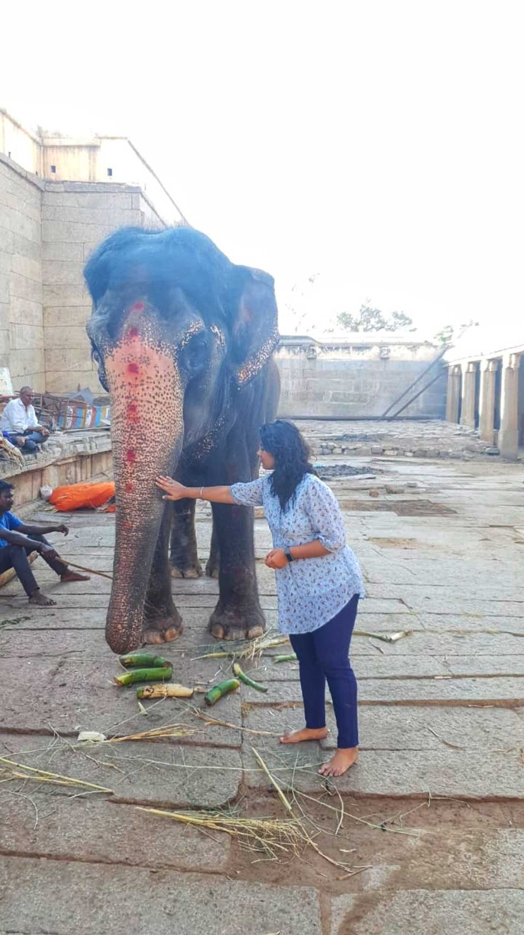 Lakshmi Elephant (Goddess) 