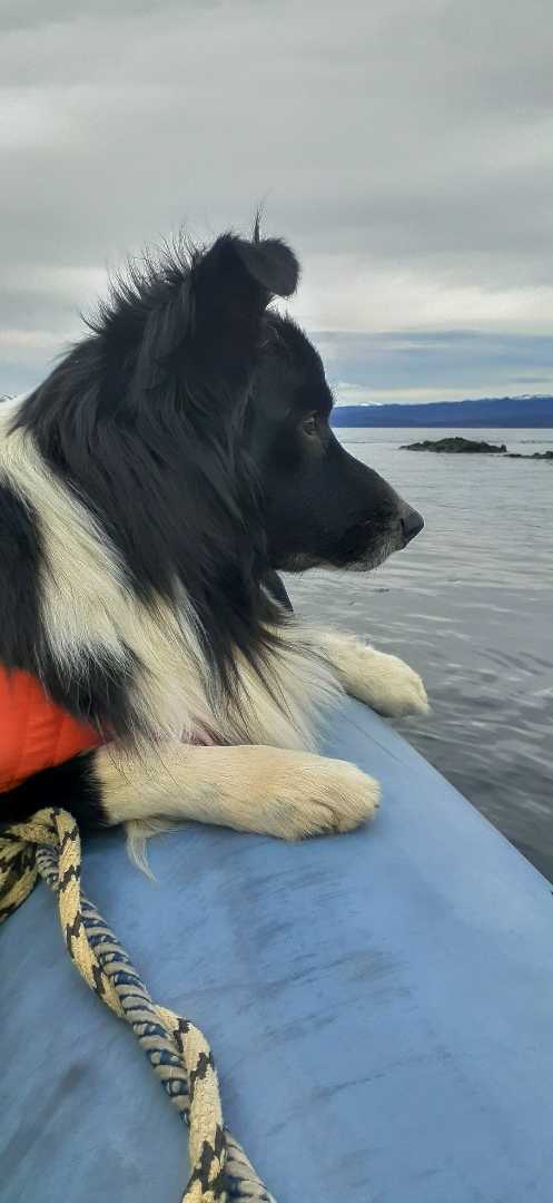 Navegando ⛵