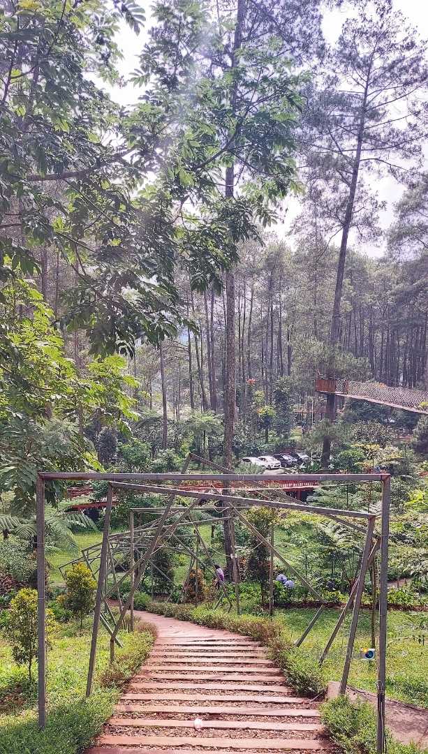 Taman Orchid Forest Cikole