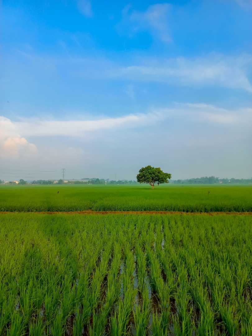 Minimalist Photography