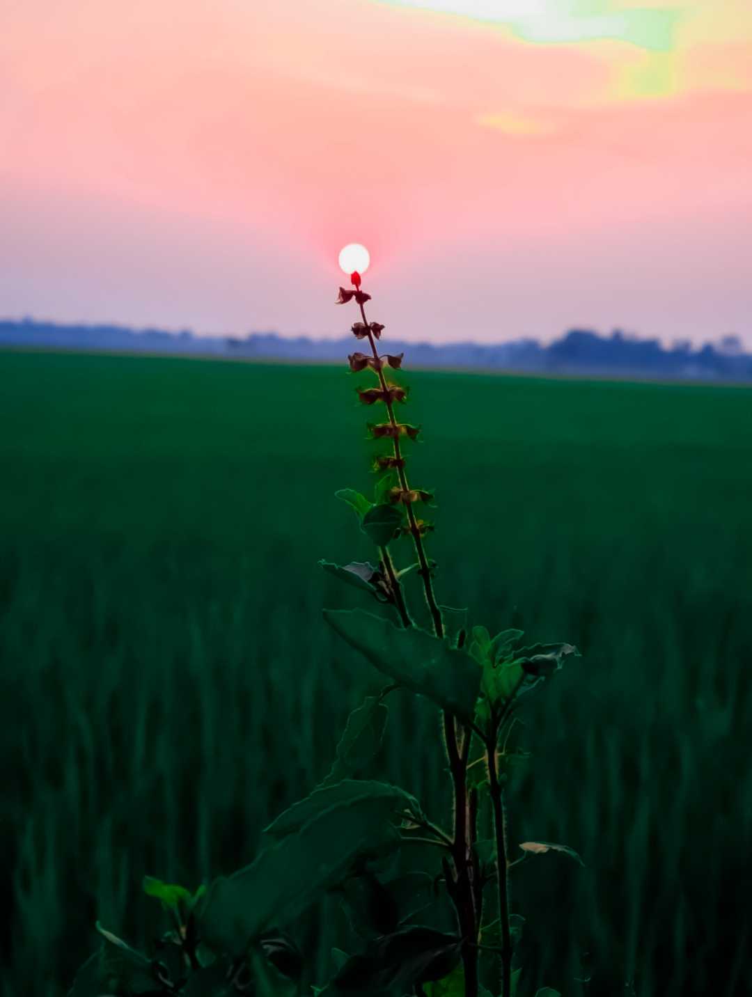 beautiful sunset 🥰