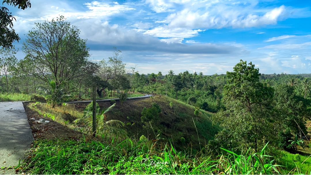 Selemam - Natuna