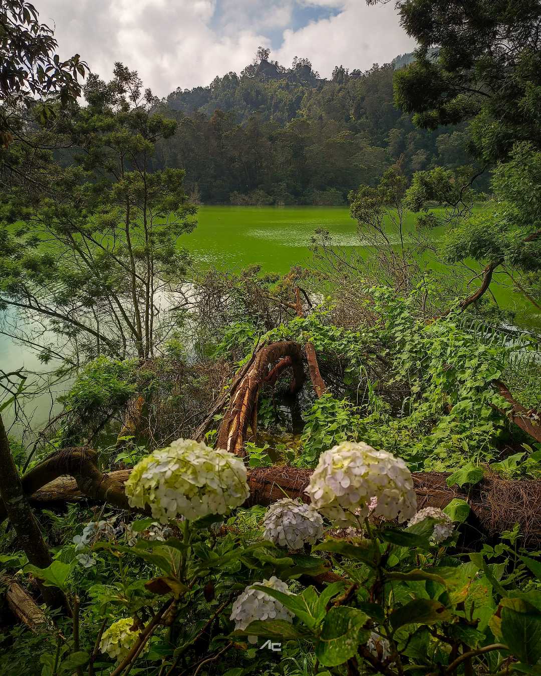 Telaga Warna, Dieng