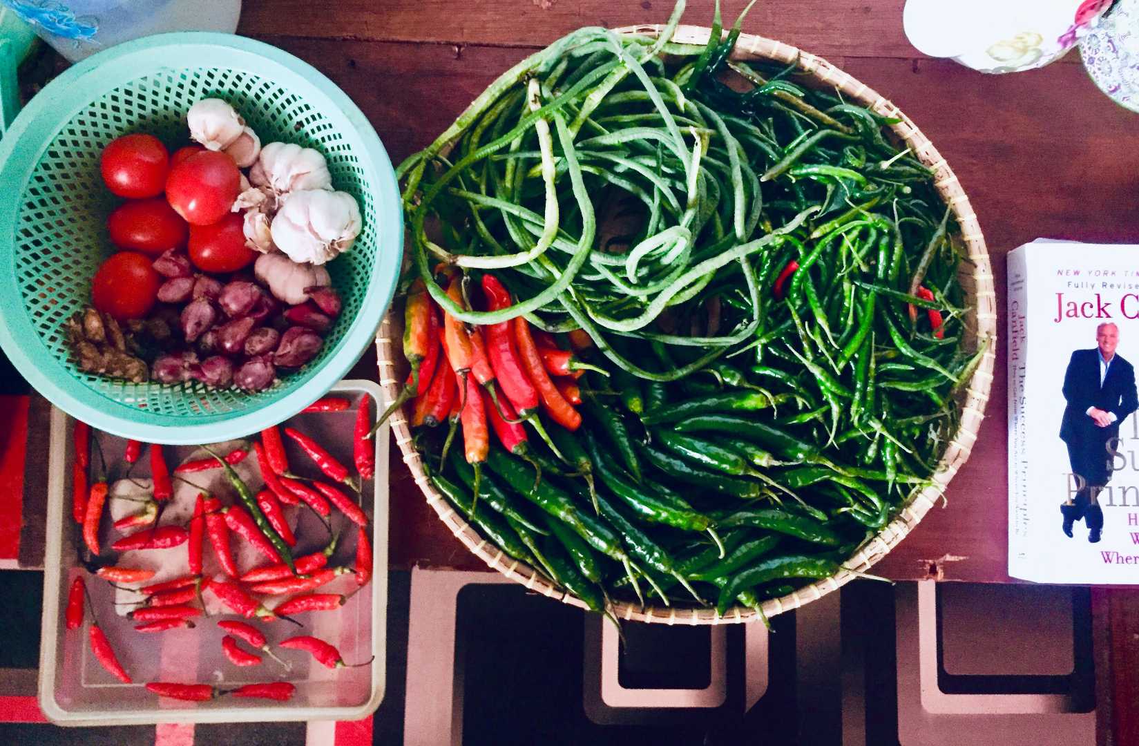 Harvest from home ♥️😽