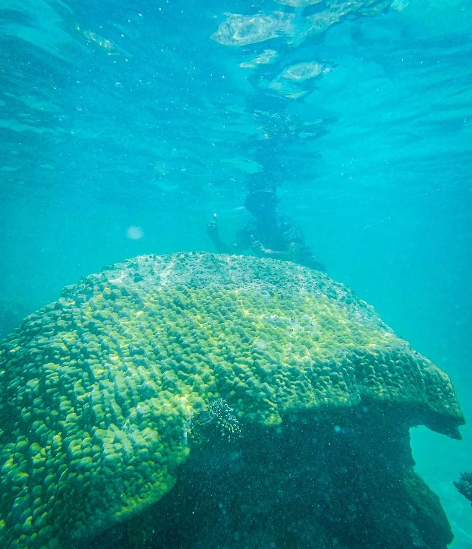 Freedive Natuna