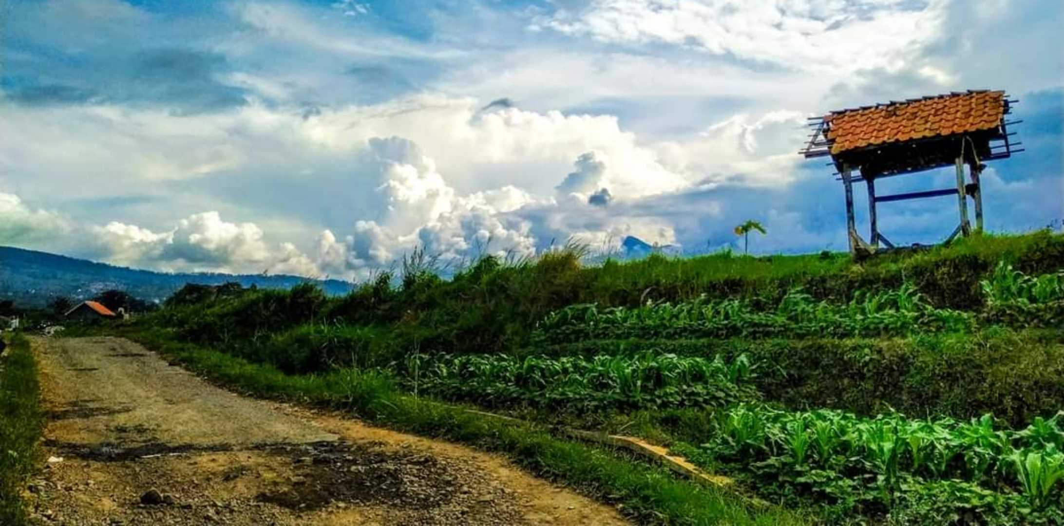gunung cikuray