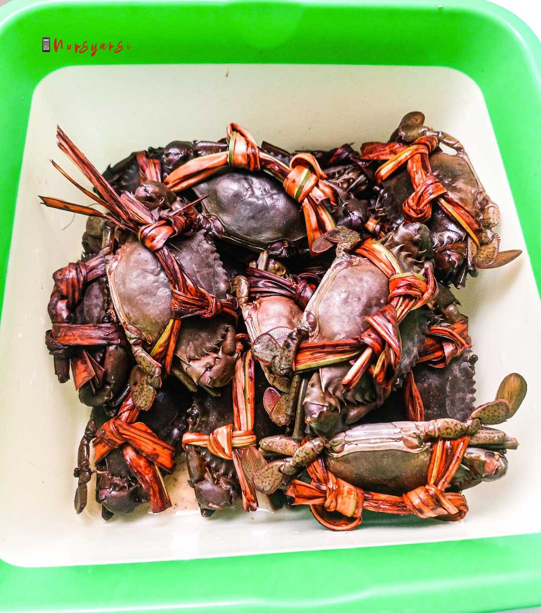 Kepiting Bakau dari Inhil