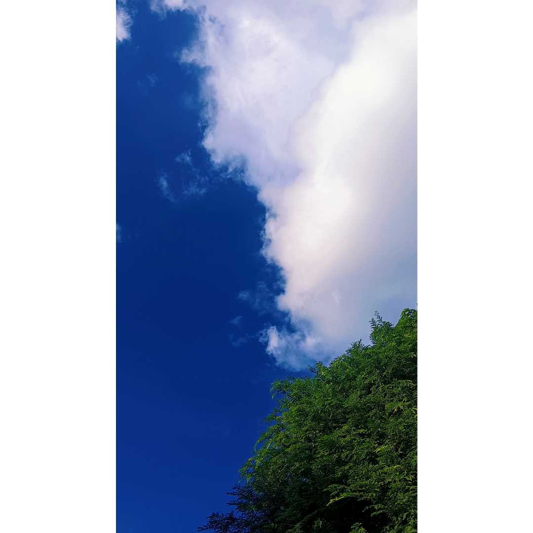 Nature 
