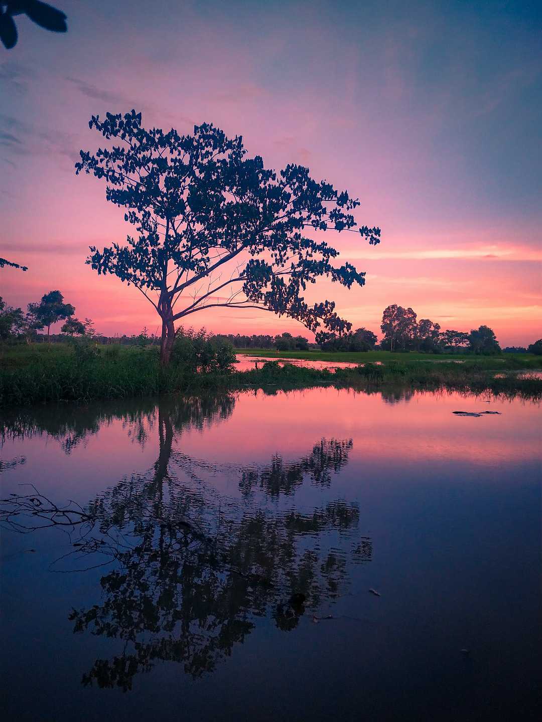 reflection