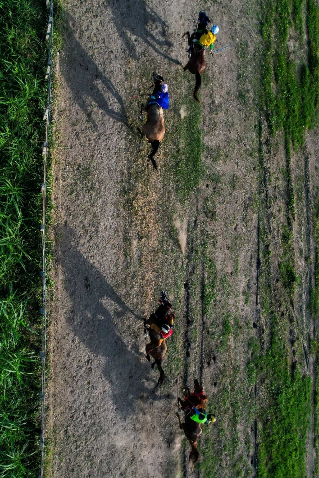 Tradisional Race Horse